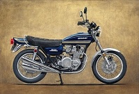 Steve Dunn Art - Paintings of Bikes